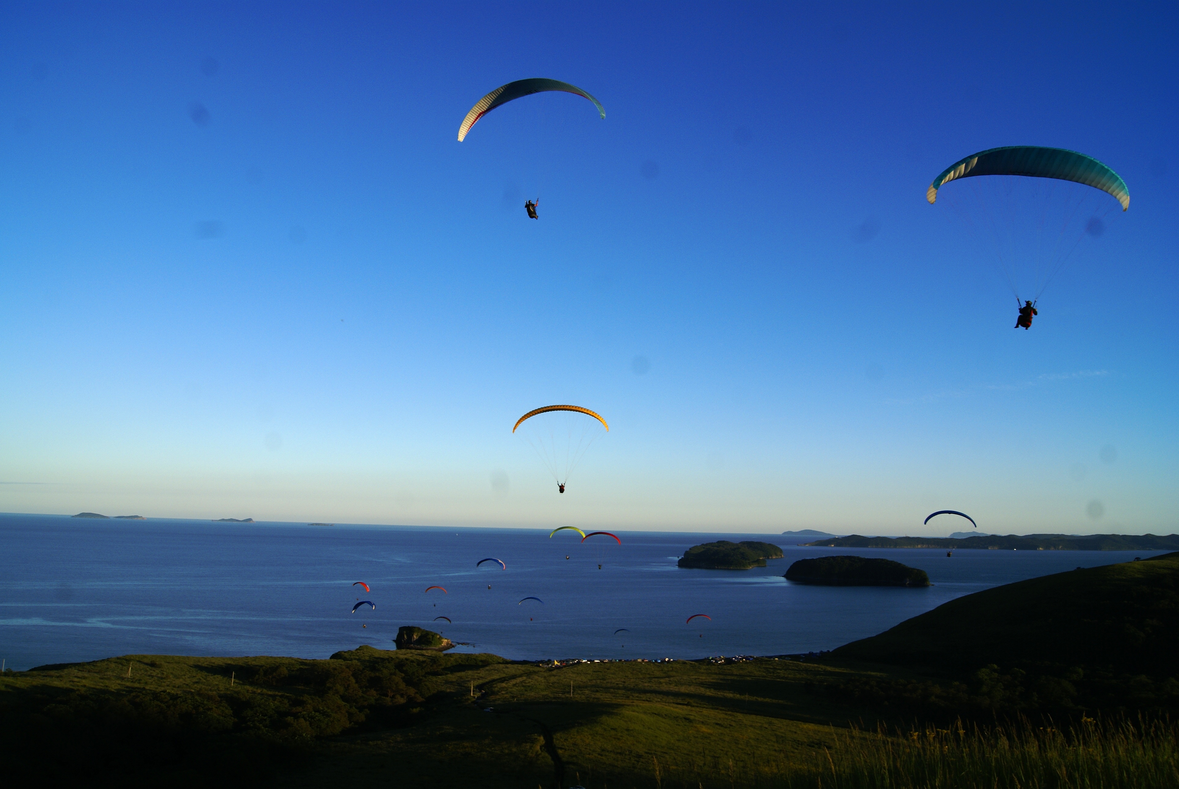 Image for Табунная Fly Cup