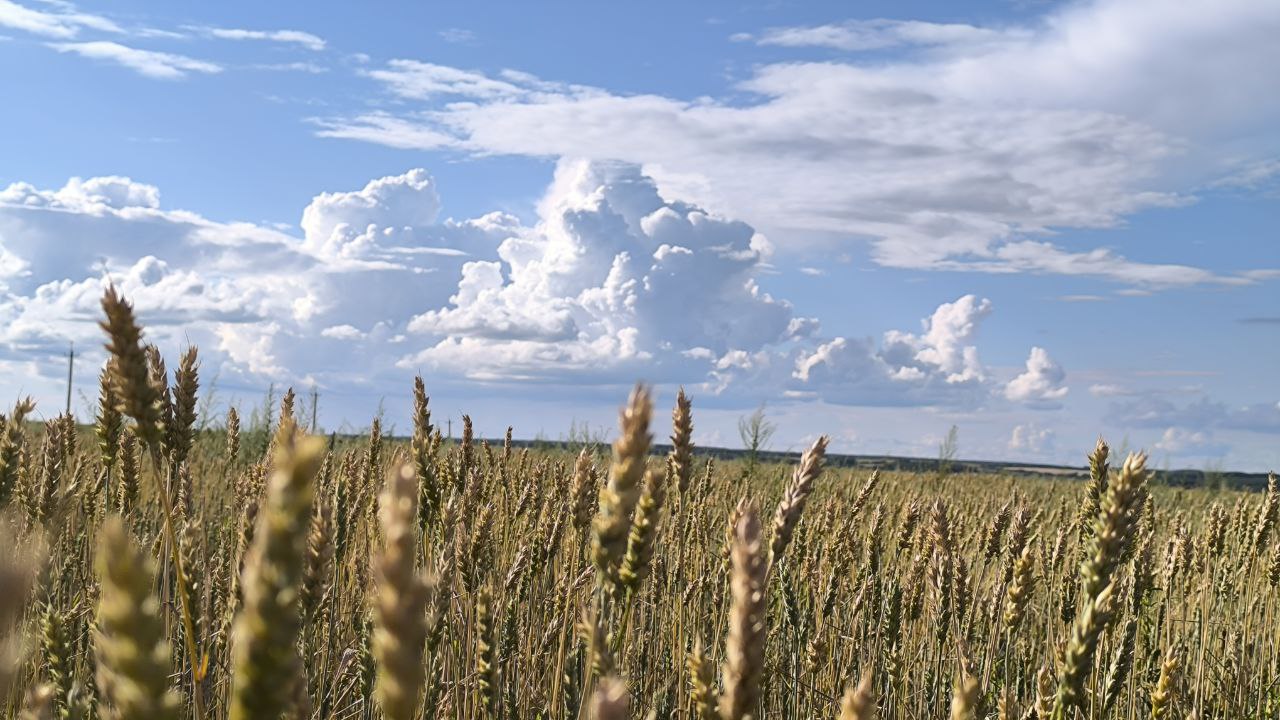 Image for 2026 КОС (XC Monsters Konchinka Open Cup )