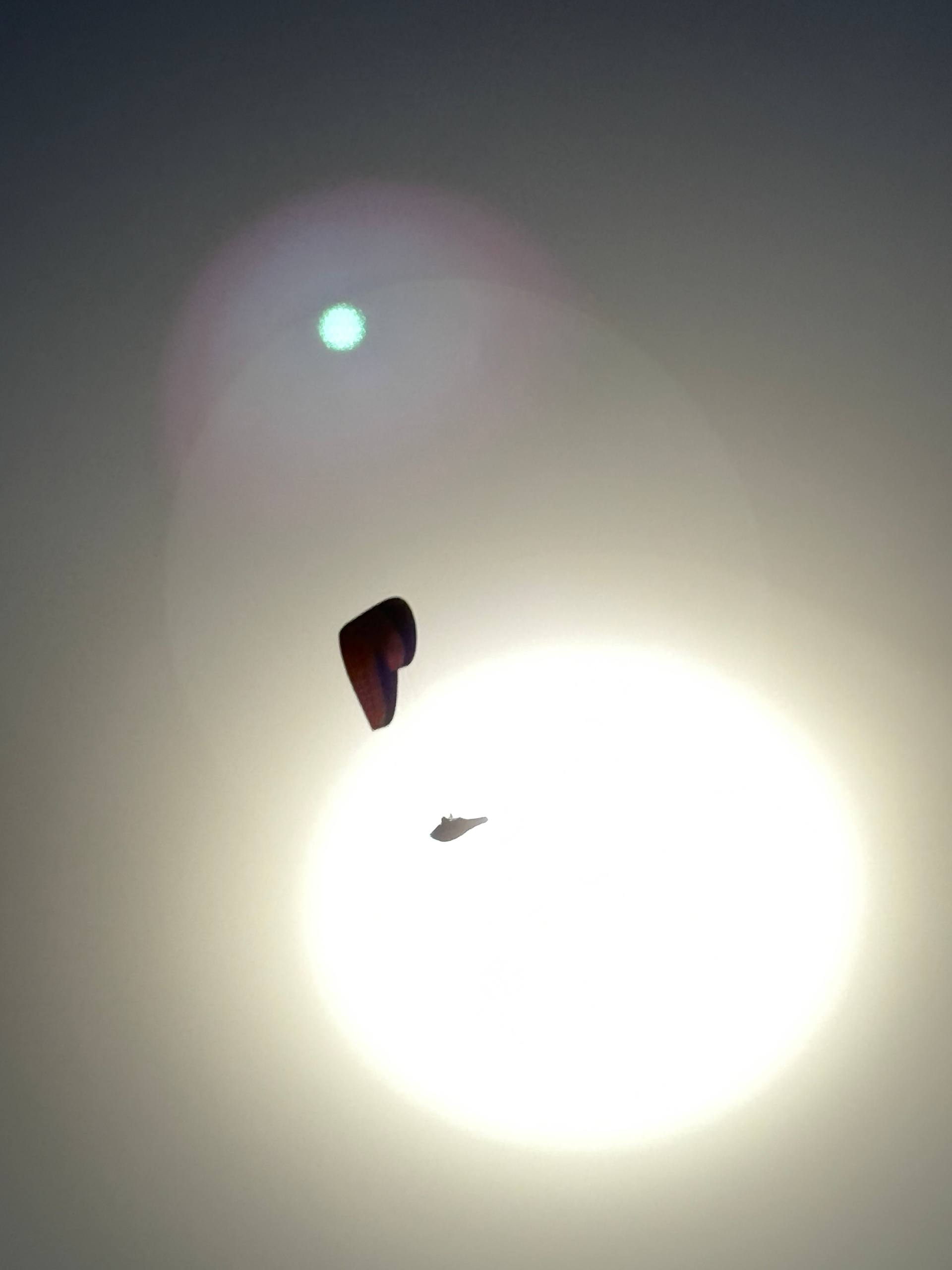 Image for 2026 Open Uzbekistan Silk Road XC